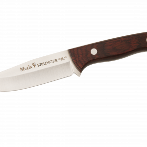 SPRINGER-11R