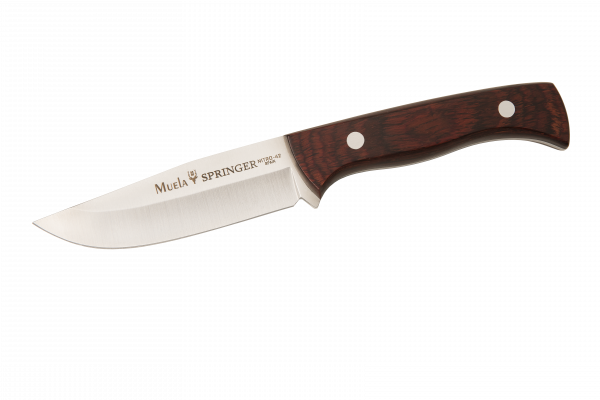 SPRINGER-11R